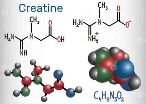 Read more about the article Kreatino vartojimo naujienos